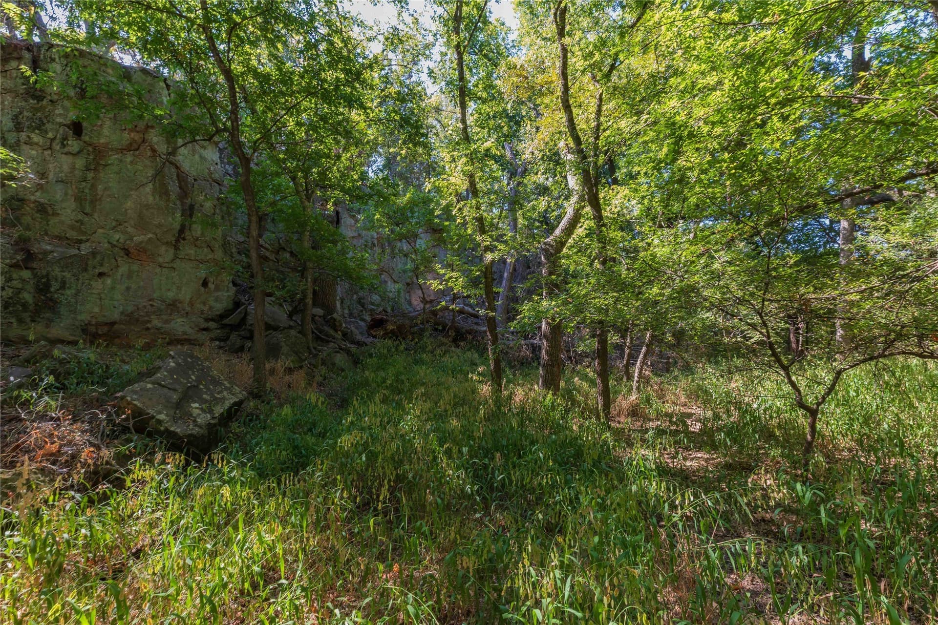 73.66 acres in Comanche County - photo 26