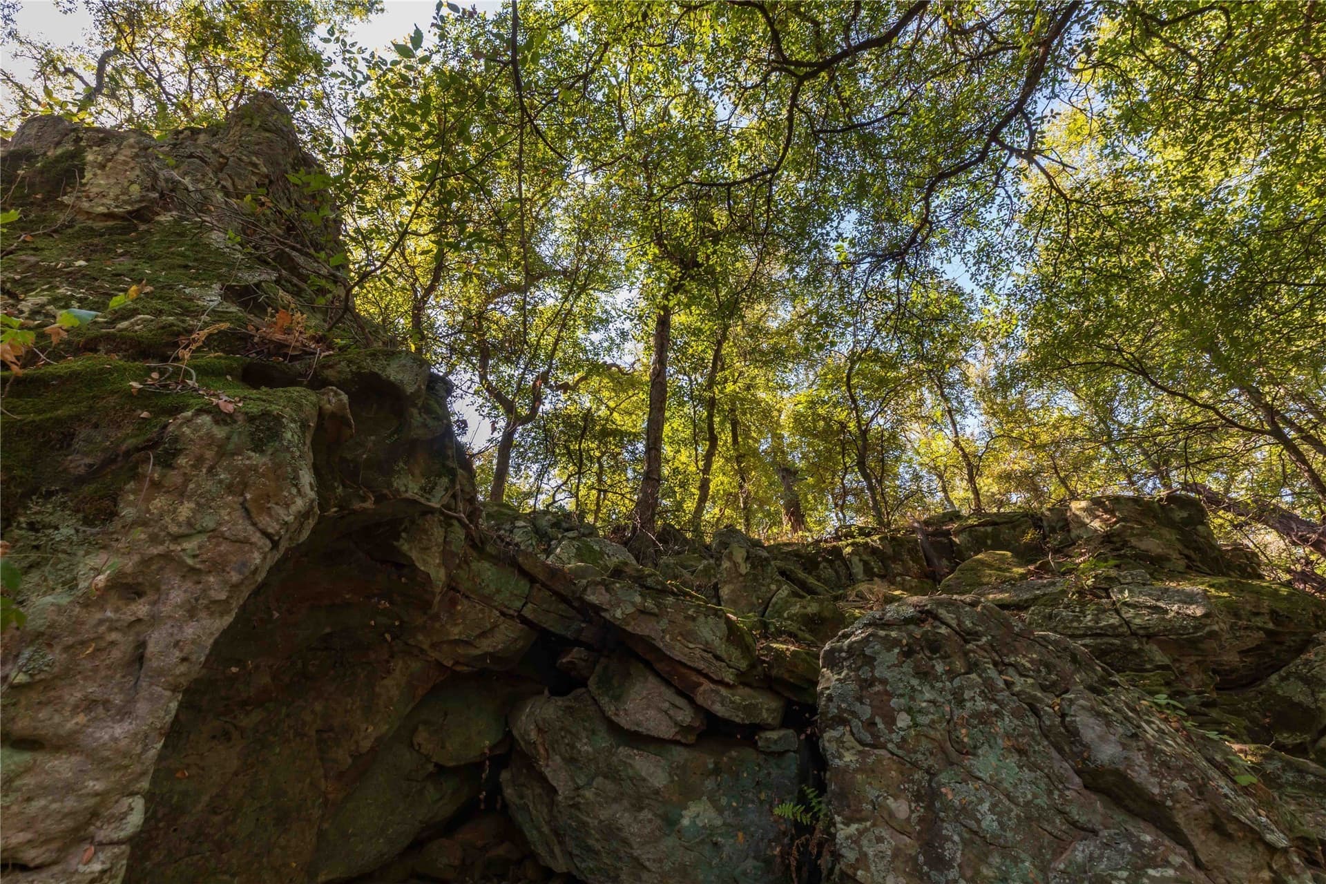 73.66 acres in Comanche County - photo 17