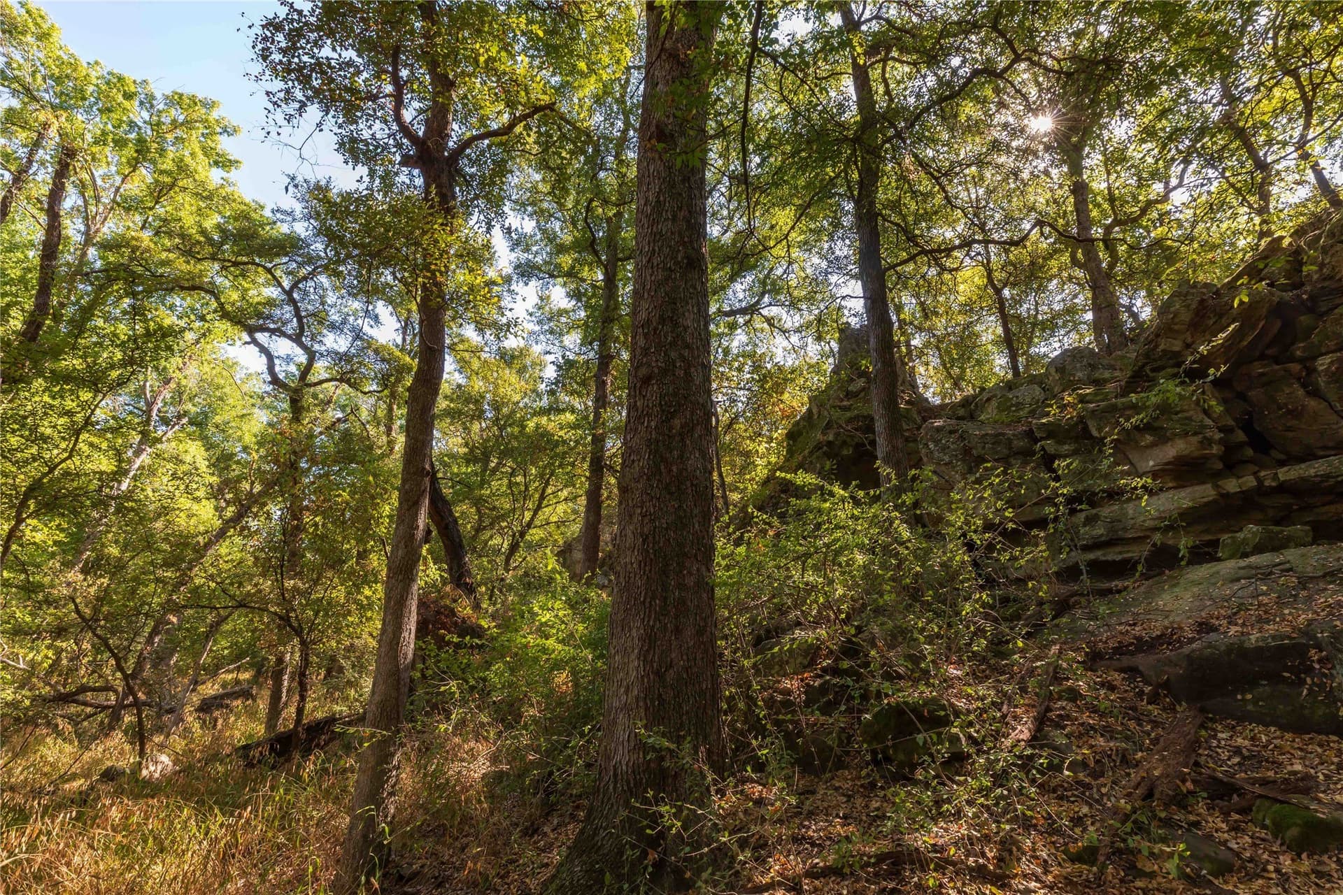 73.66 acres in Comanche County - photo 16