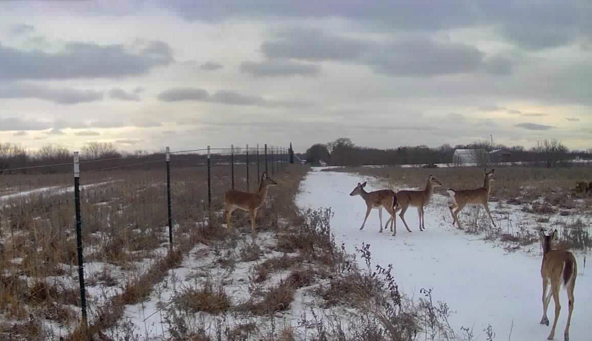 73.66 acres in Comanche County - photo 30