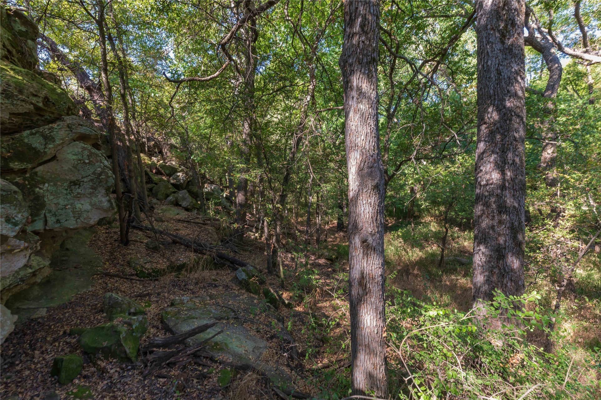 73.66 acres in Comanche County - photo 28