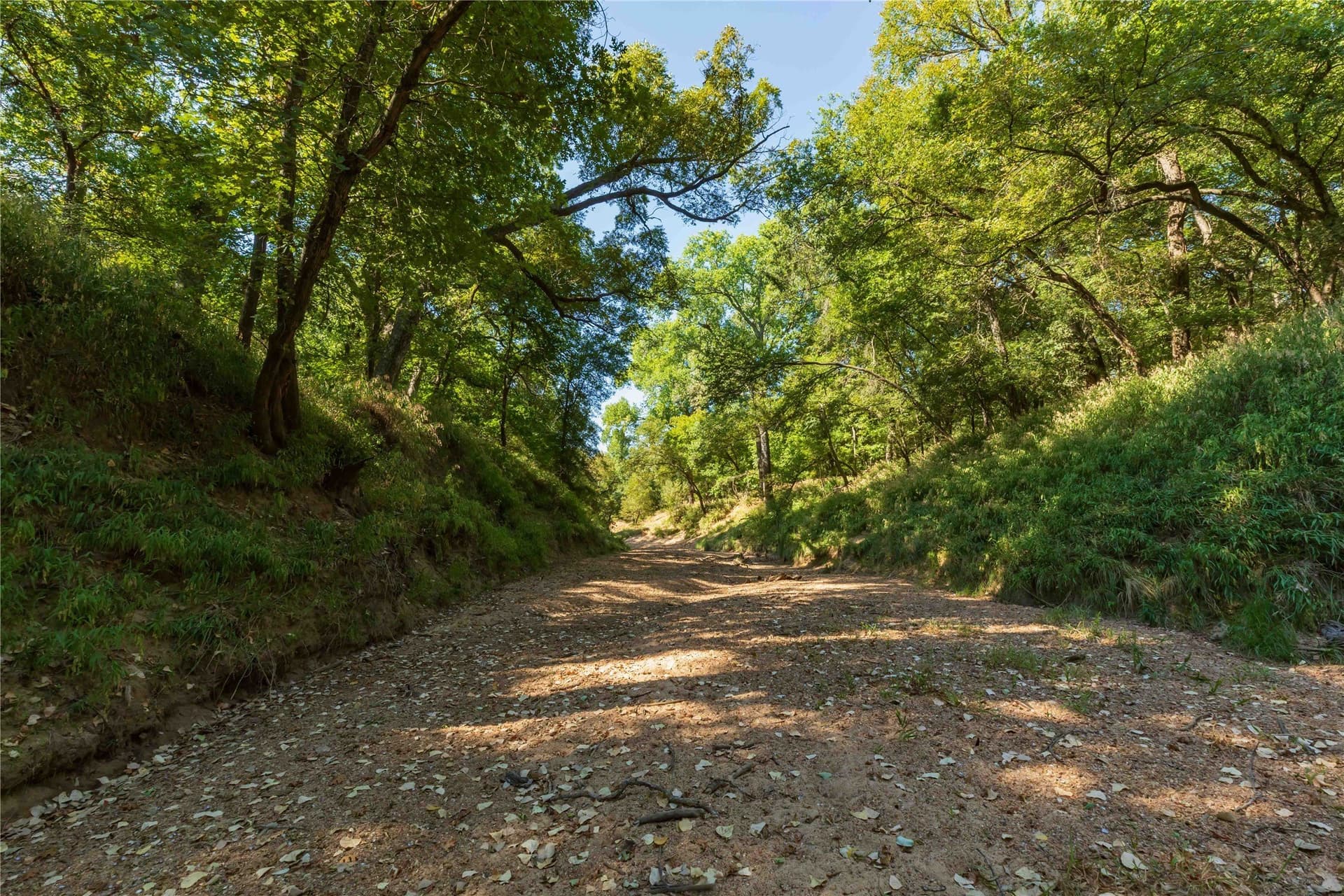 73.66 acres in Comanche County - photo 34