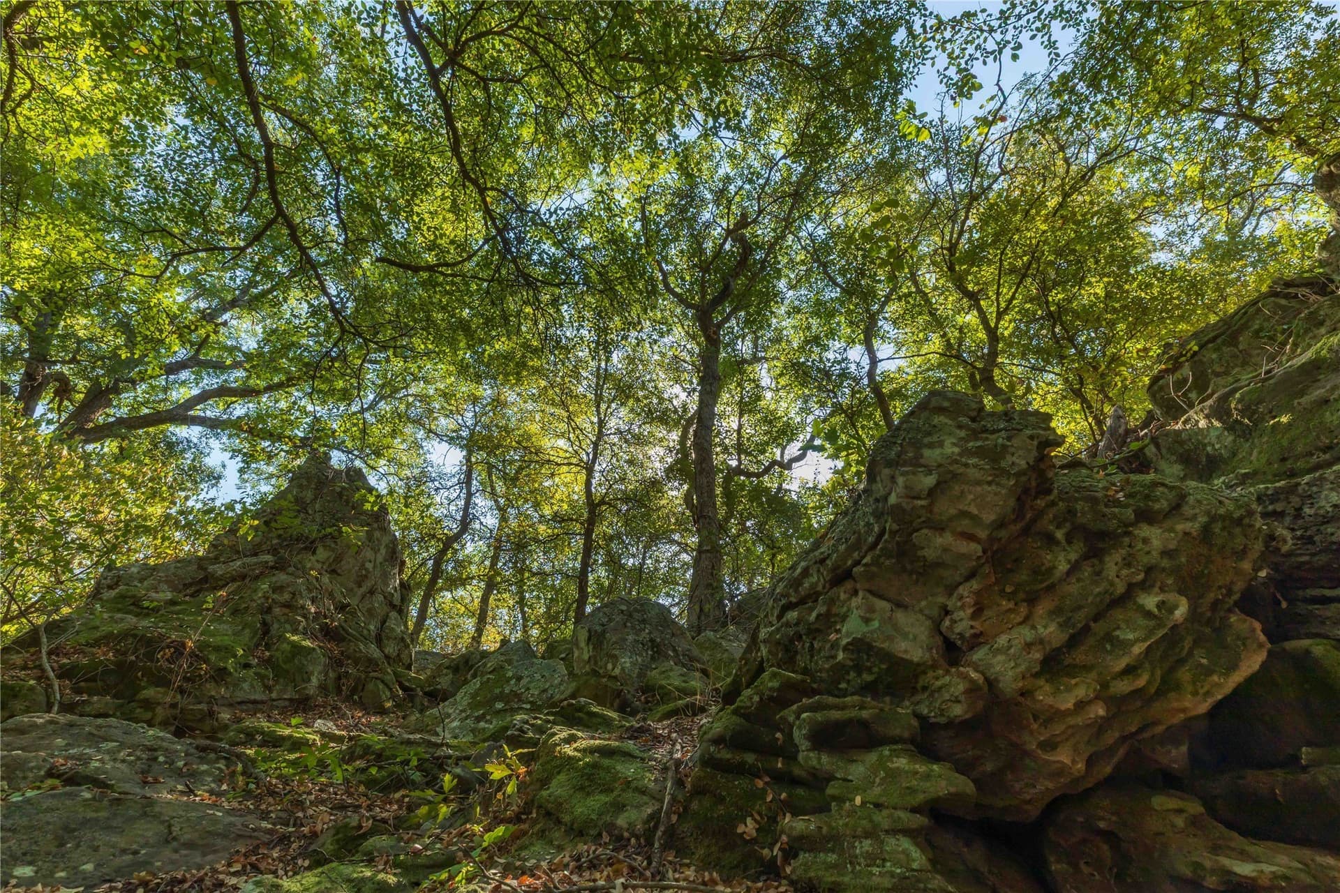 73.66 acres in Comanche County - photo 37
