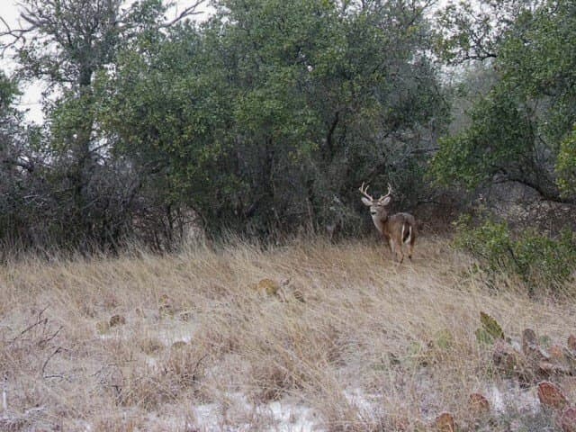 73.66 acres in Comanche County - photo 8
