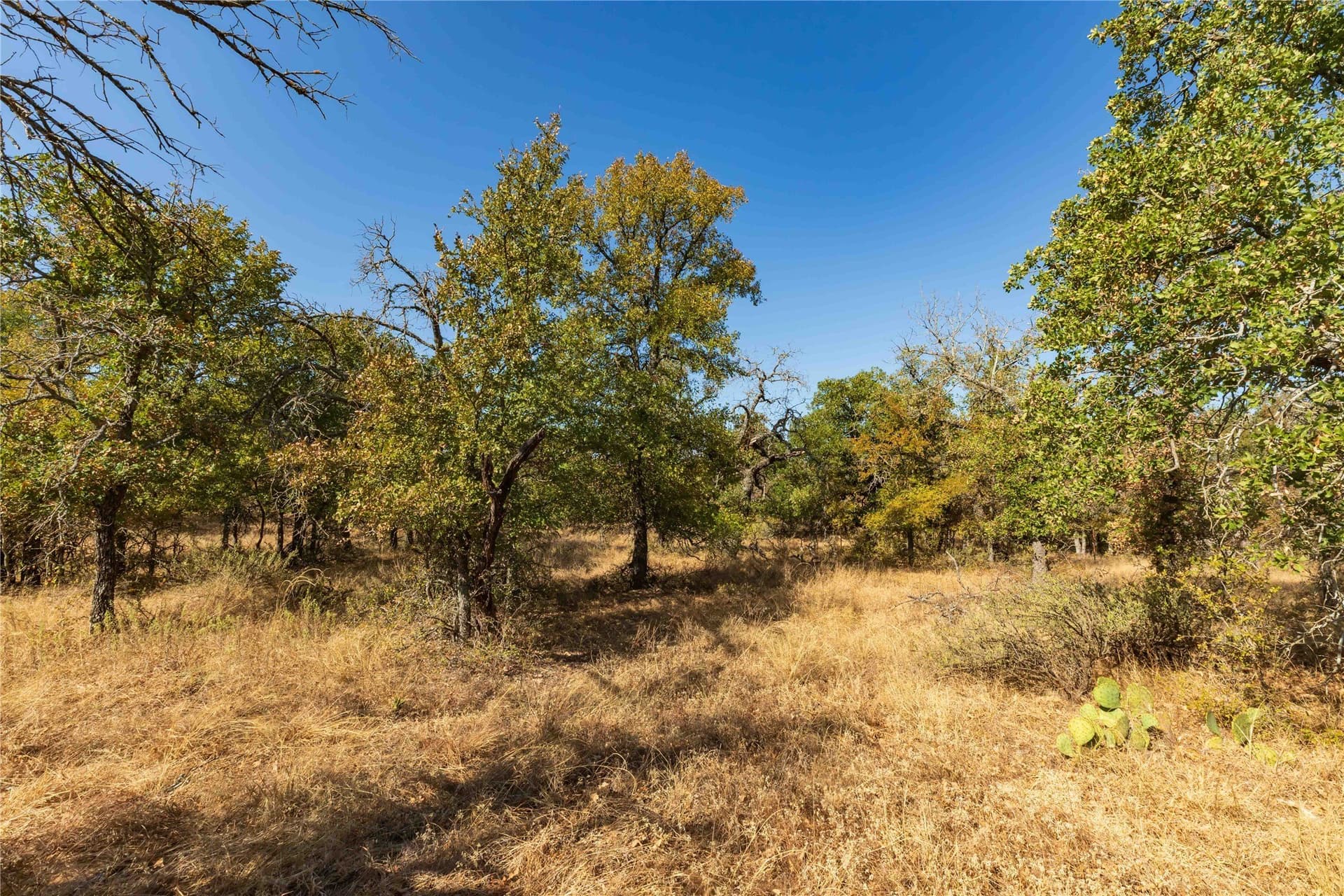 73.66 acres in Comanche County - photo 7