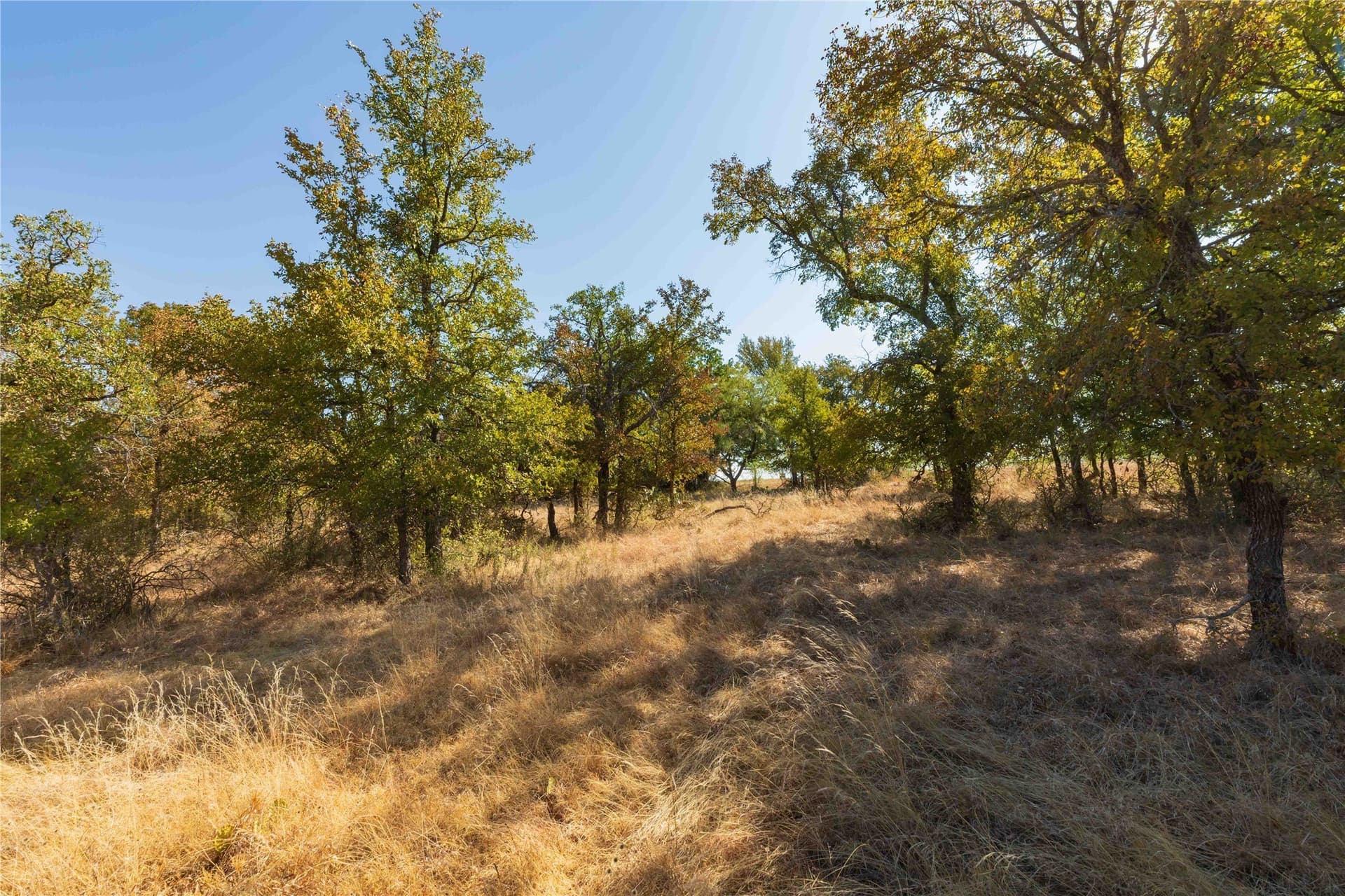 73.66 acres in Comanche County - photo 36