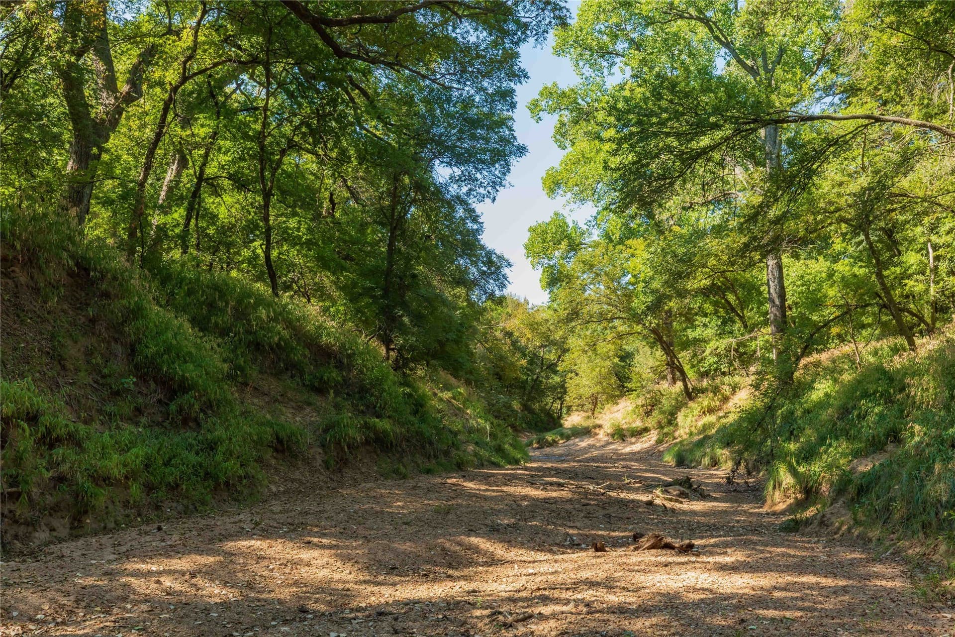 73.66 acres in Comanche County - photo 22