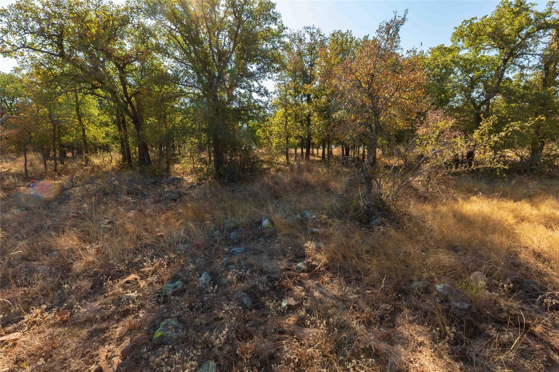 73.66 acres in Comanche County - photo 35