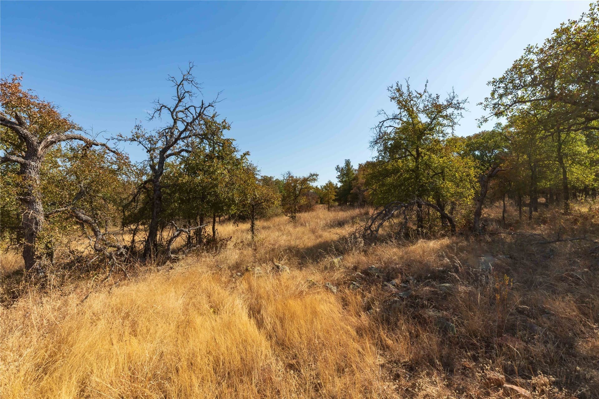 73.66 acres in Comanche County - photo 24