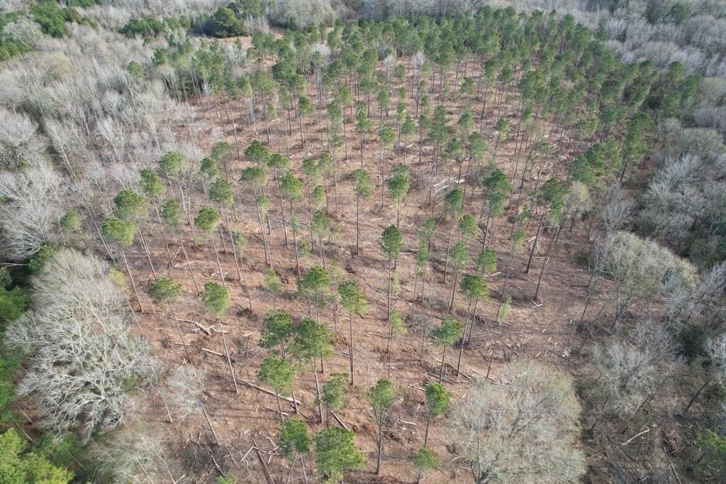 19 acres in Shelby County