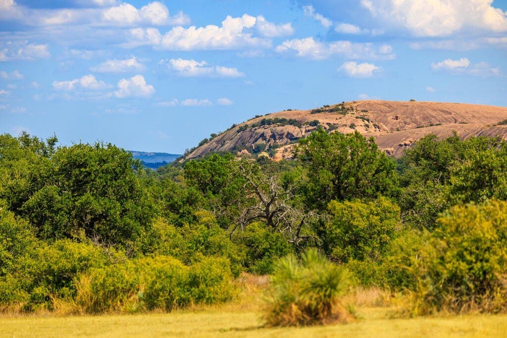 73.3 acres in Gillespie County - photo 20