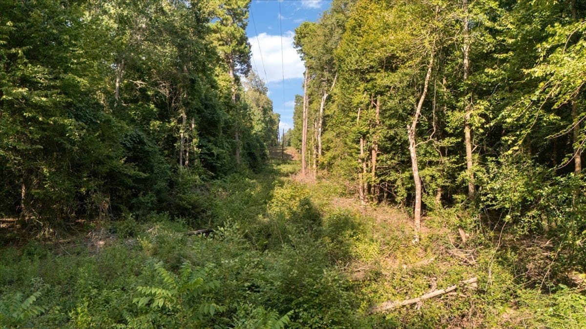 20 acres in Smith County - photo 14