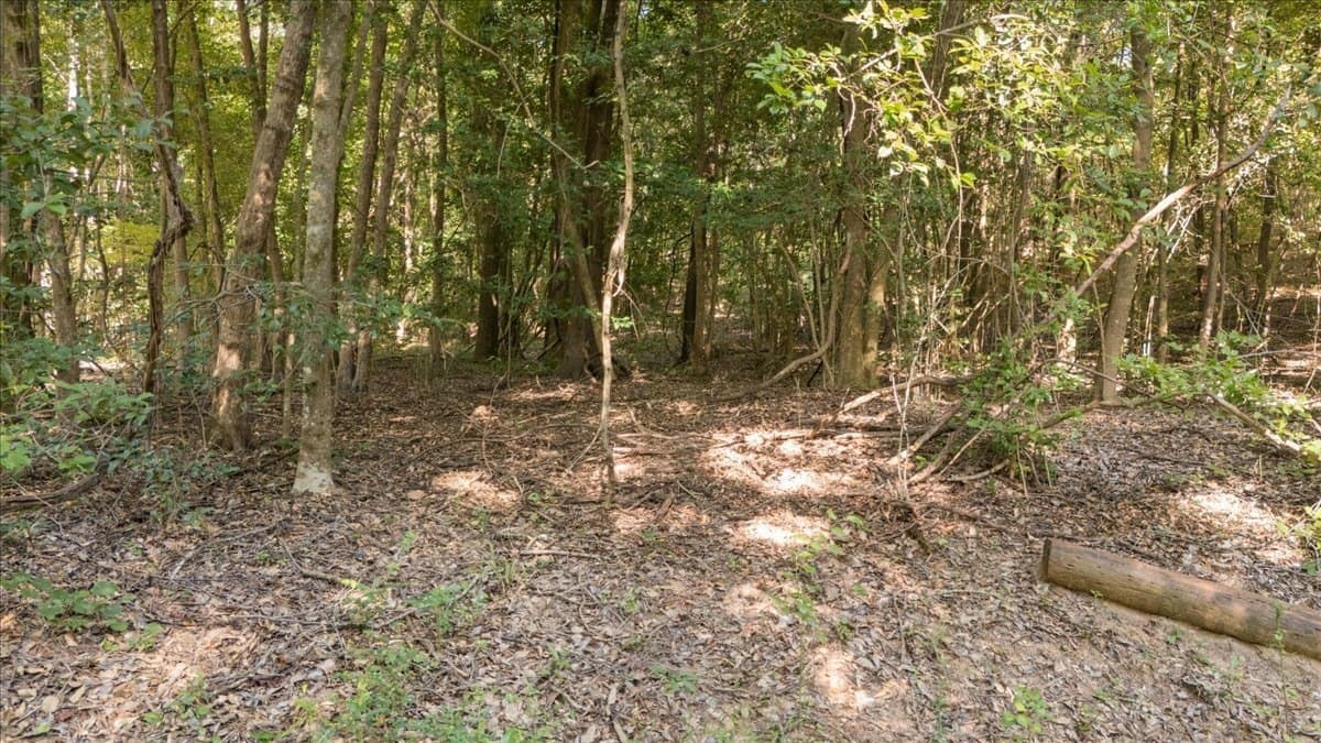 20 acres in Smith County - photo 17