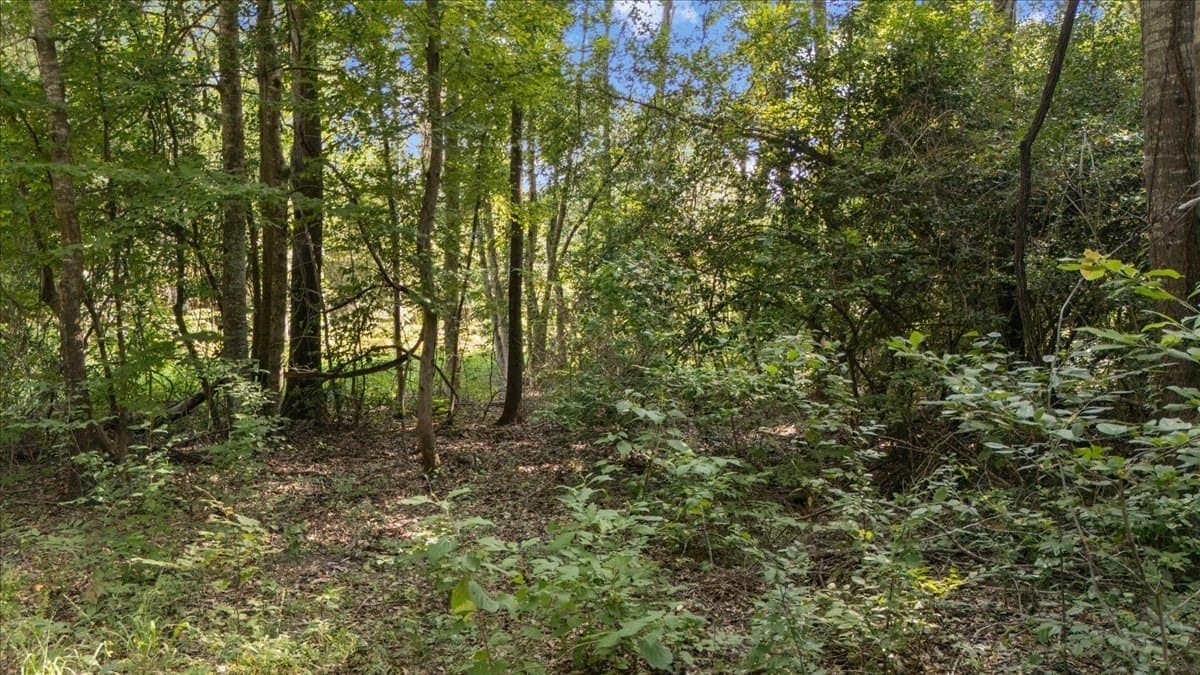20 acres in Smith County - photo 12