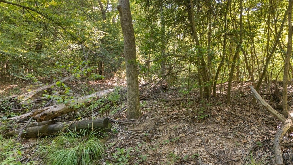 20 acres in Smith County - photo 18