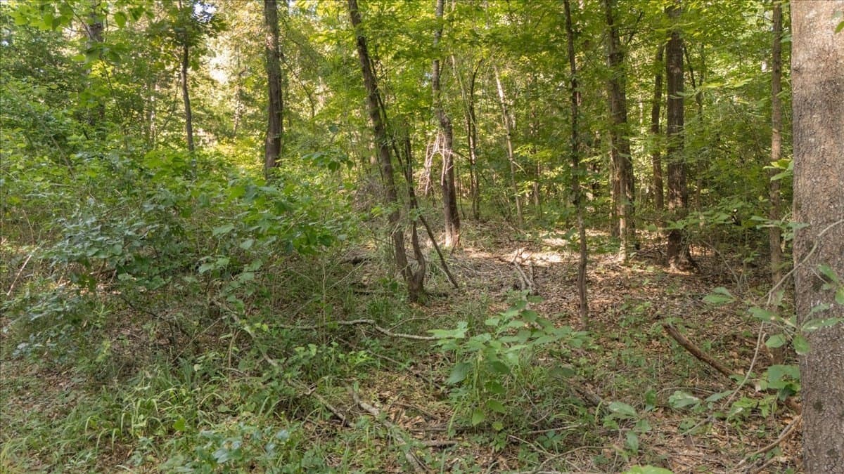 20 acres in Smith County - photo 13