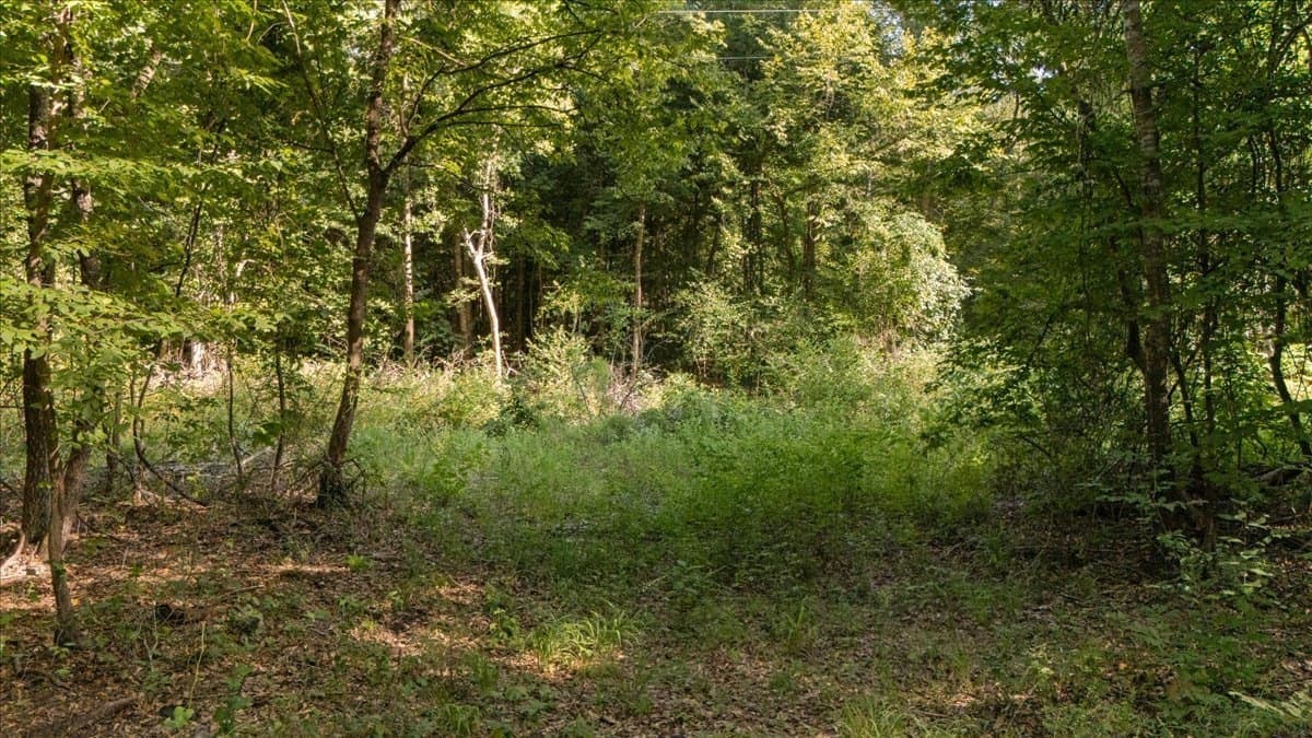 20 acres in Smith County - photo 11