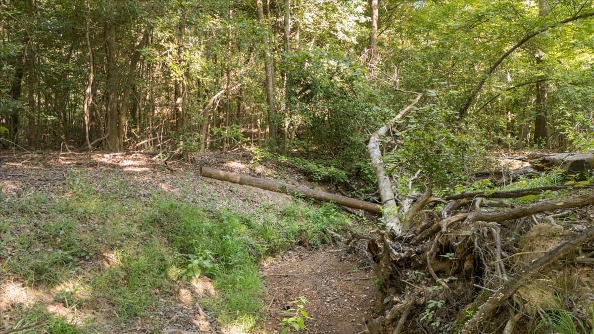 20 acres in Smith County - photo 16