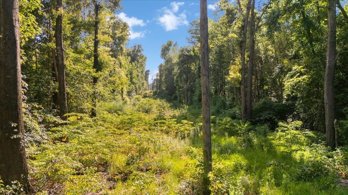 20 acres in Smith County - photo 15