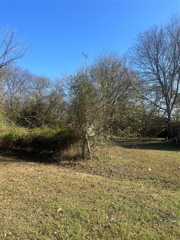 0.28 acres in Dallas County gallery image 2