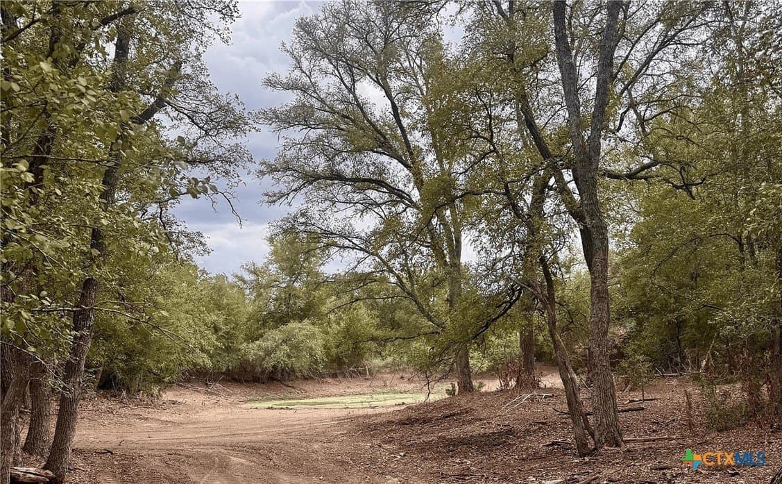 12.16 acres in Bastrop County - photo 2