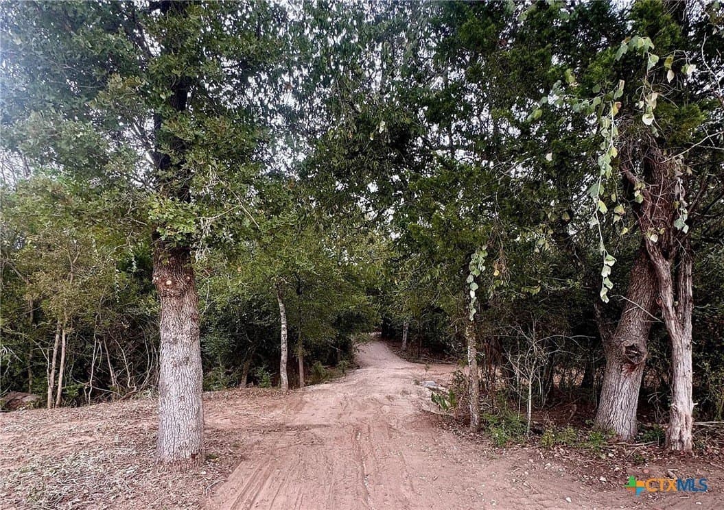 12.16 acres in Bastrop County - photo 10