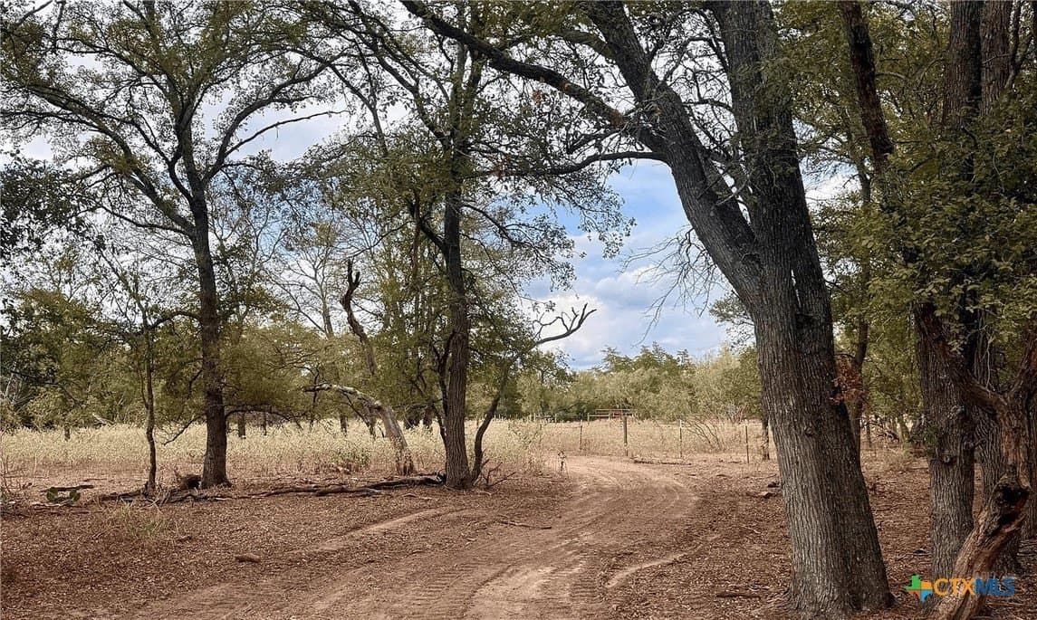 12.16 acres in Bastrop County - photo 4