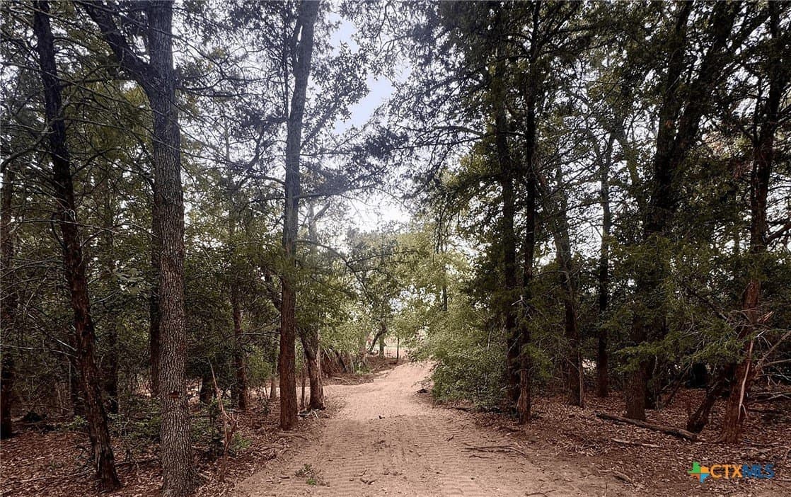 12.16 acres in Bastrop County - photo 9