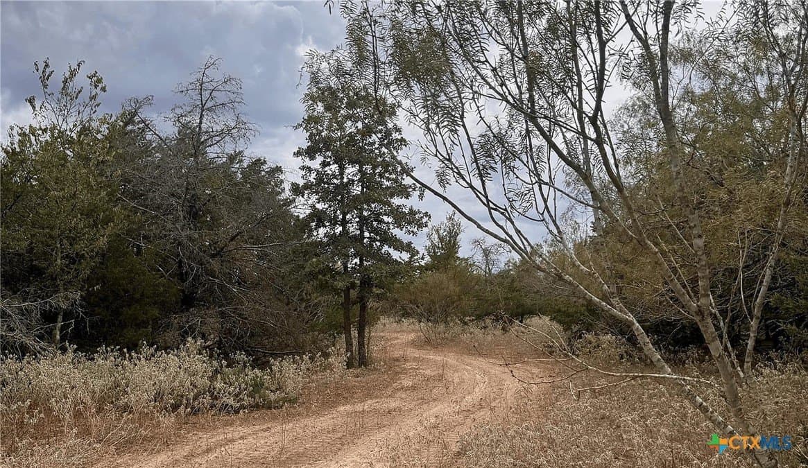 12.16 acres in Bastrop County - photo 5