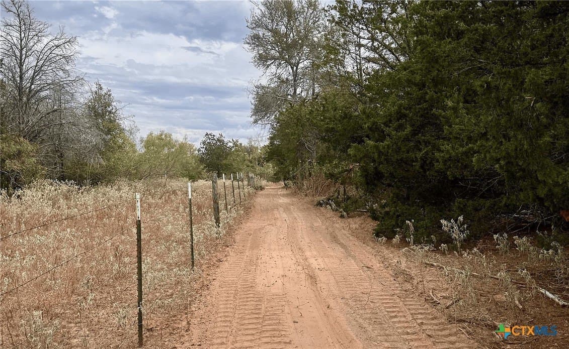 12.16 acres in Bastrop County - photo 6