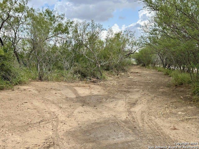 30 acres in Atascosa County gallery image 2