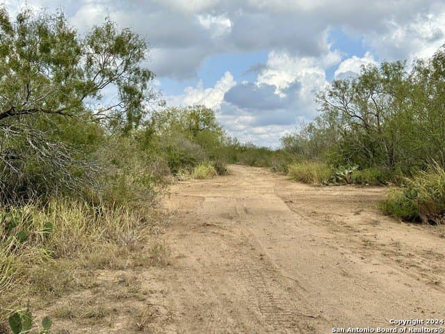 30 acres in Atascosa County gallery image 4
