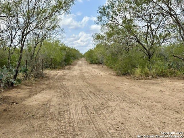 30 acres in Atascosa County