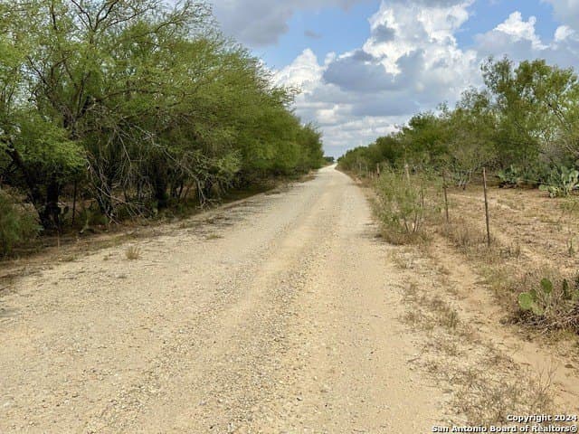 30 acres in Atascosa County gallery image 3