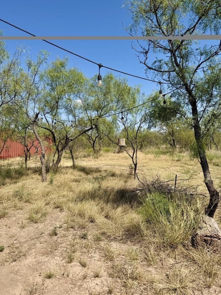 64.59 acres in Menard County - photo 18