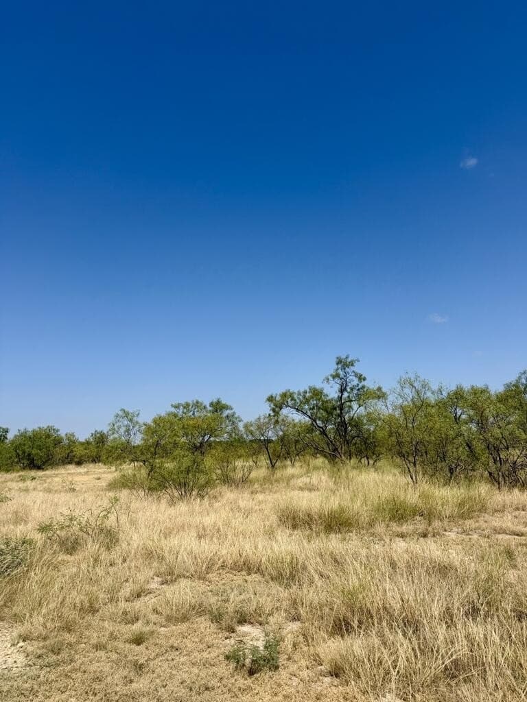 64.59 acres in Menard County - photo 12