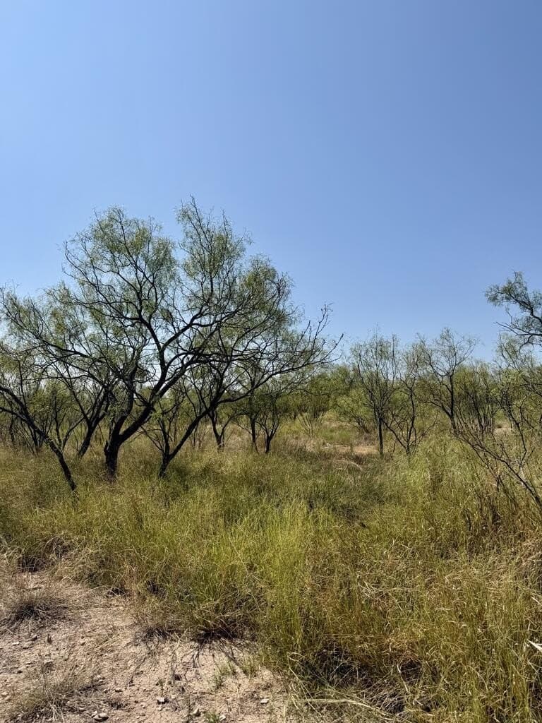 64.59 acres in Menard County - photo 10