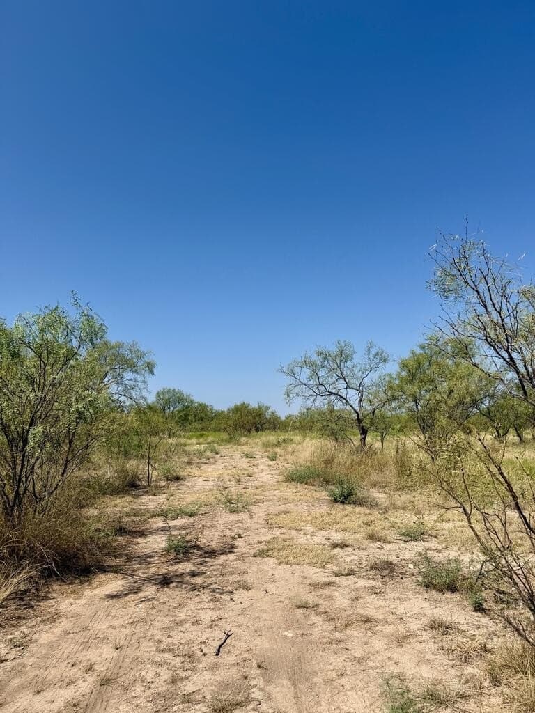 64.59 acres in Menard County - photo 2