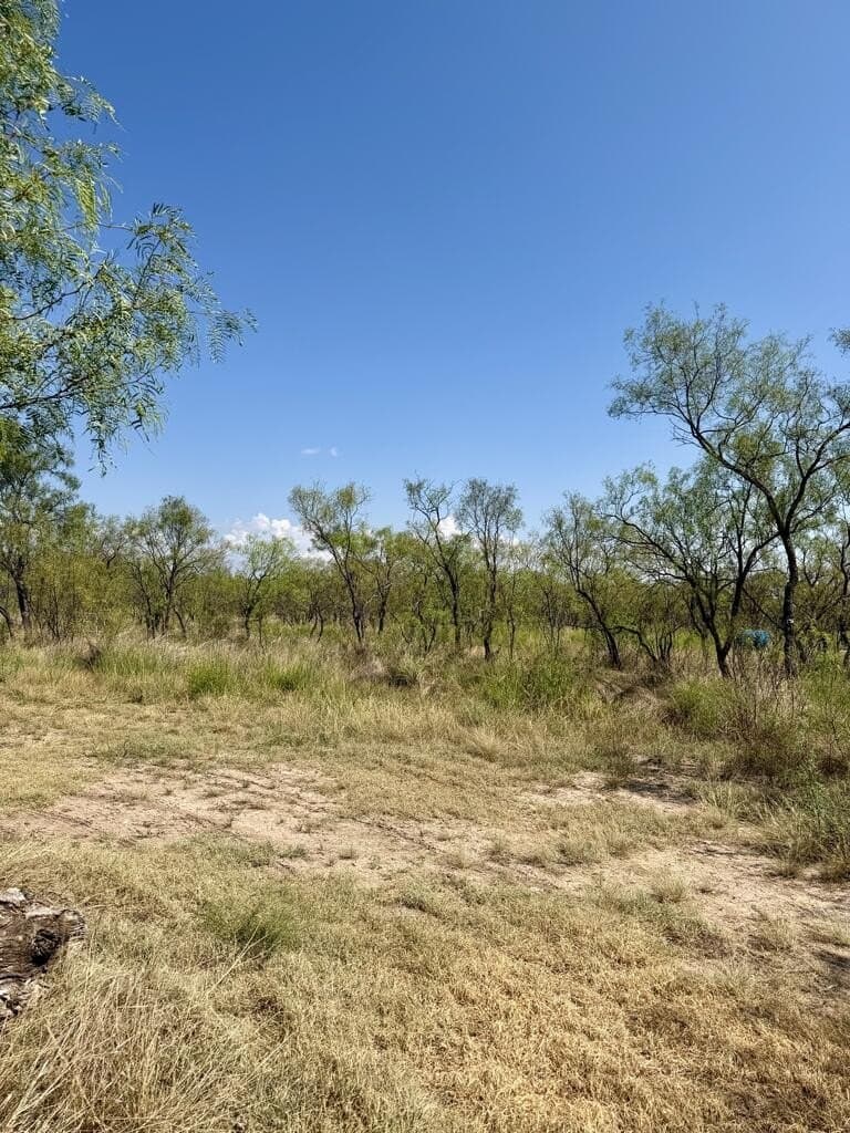 64.59 acres in Menard County - photo 19