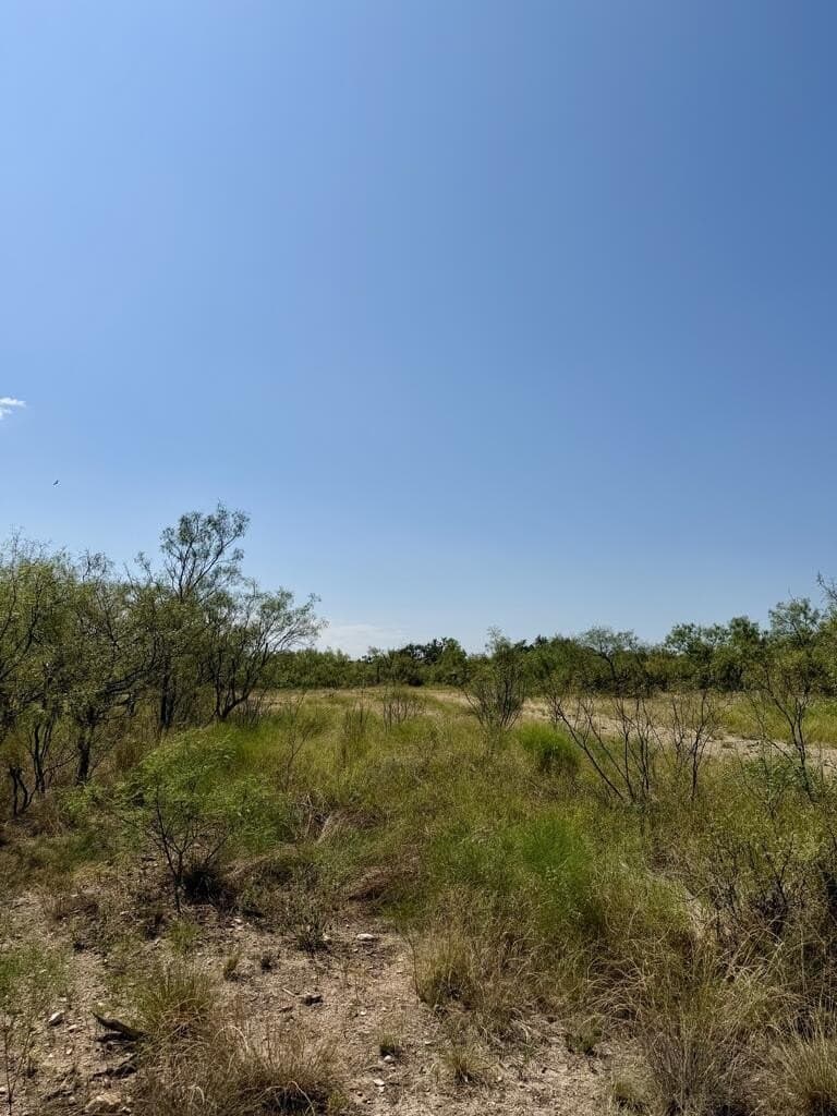 64.59 acres in Menard County - photo 14