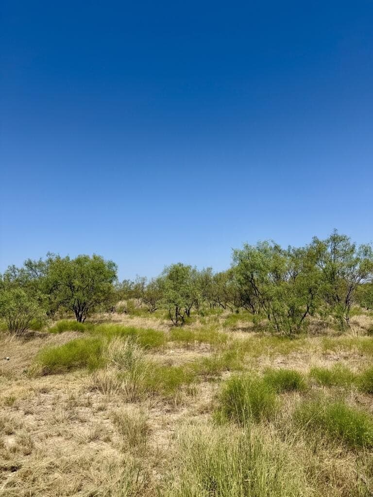 64.59 acres in Menard County - photo 6