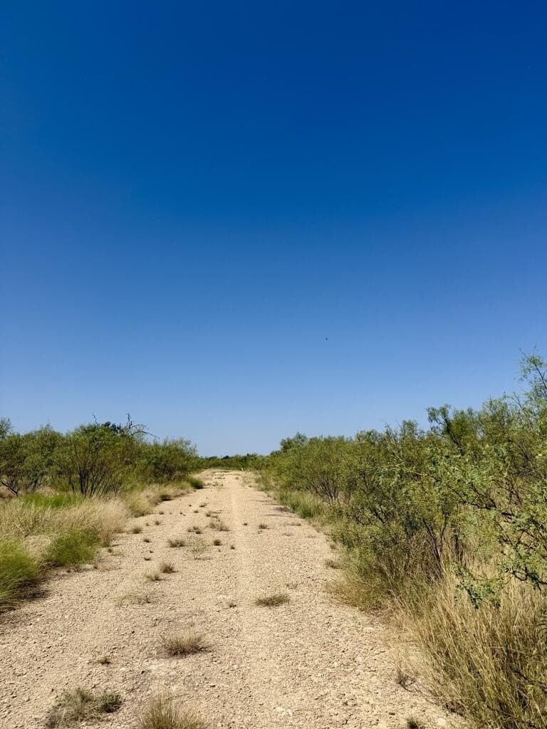 64.59 acres in Menard County - photo 11