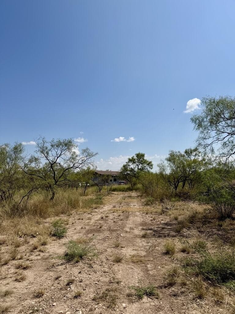 64.59 acres in Menard County - photo 17