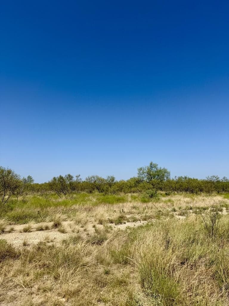 64.59 acres in Menard County - photo 16