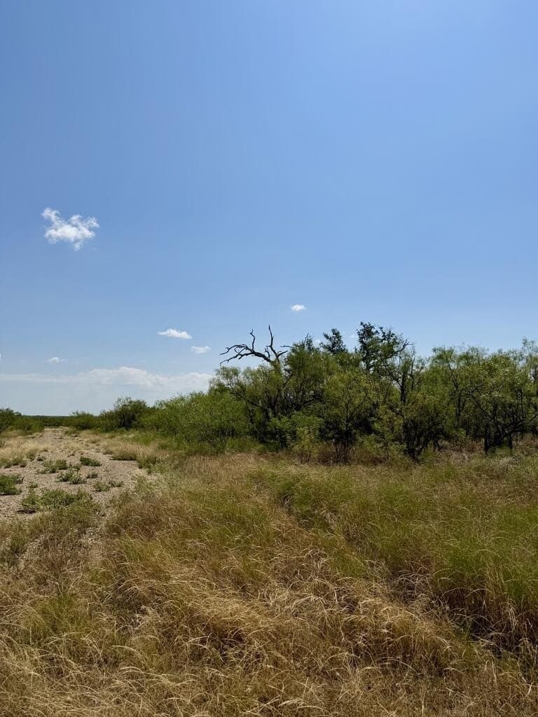 64.59 acres in Menard County - photo 4