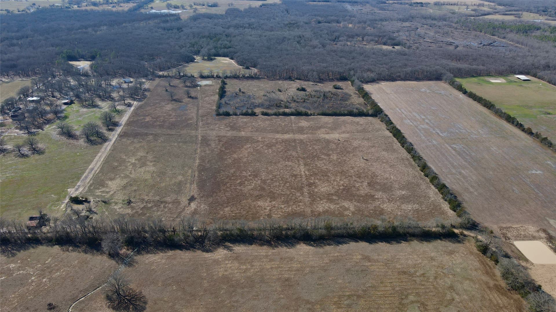 50 acres in Lamar County - photo 11