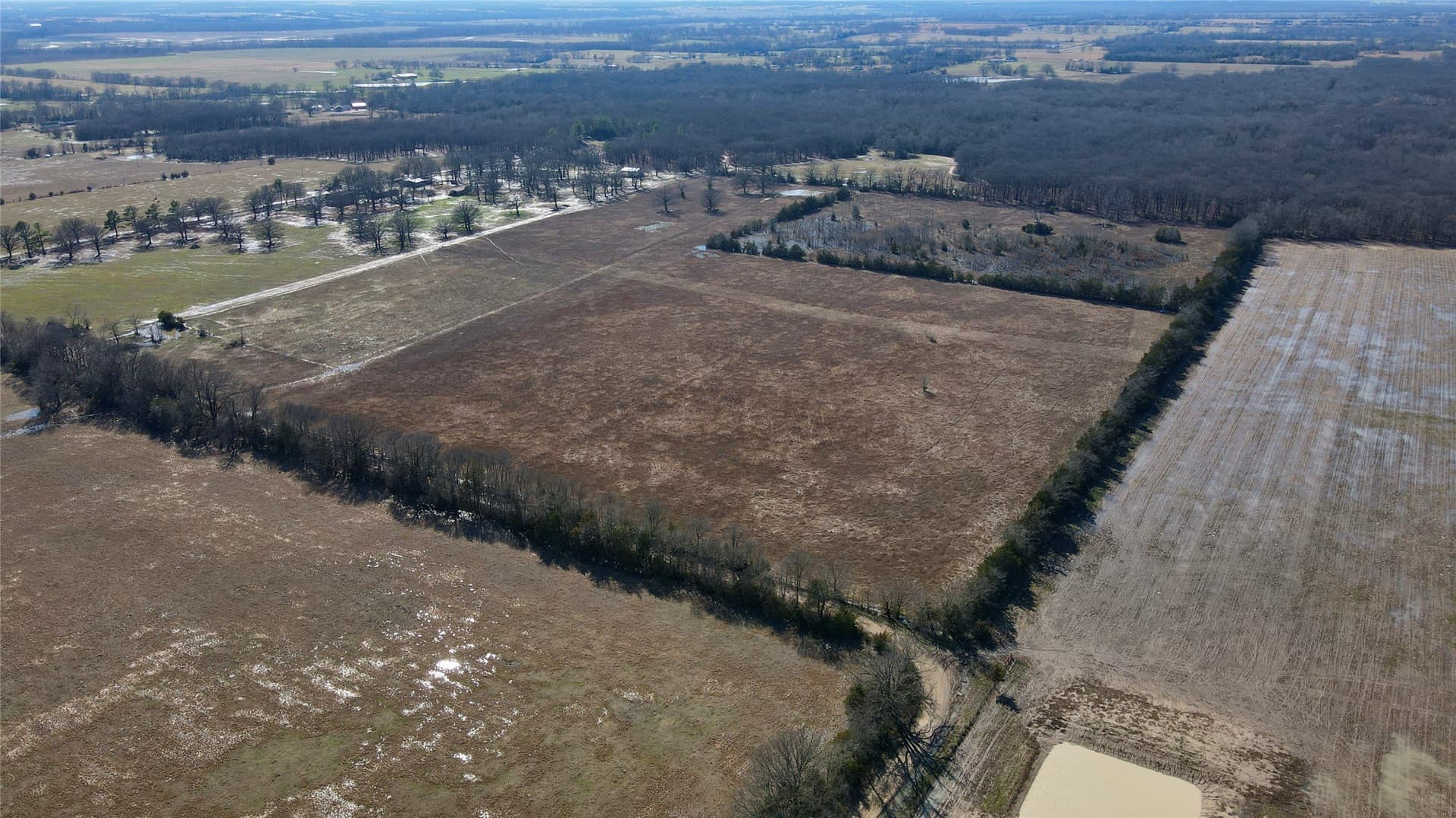 50 acres in Lamar County - photo 2