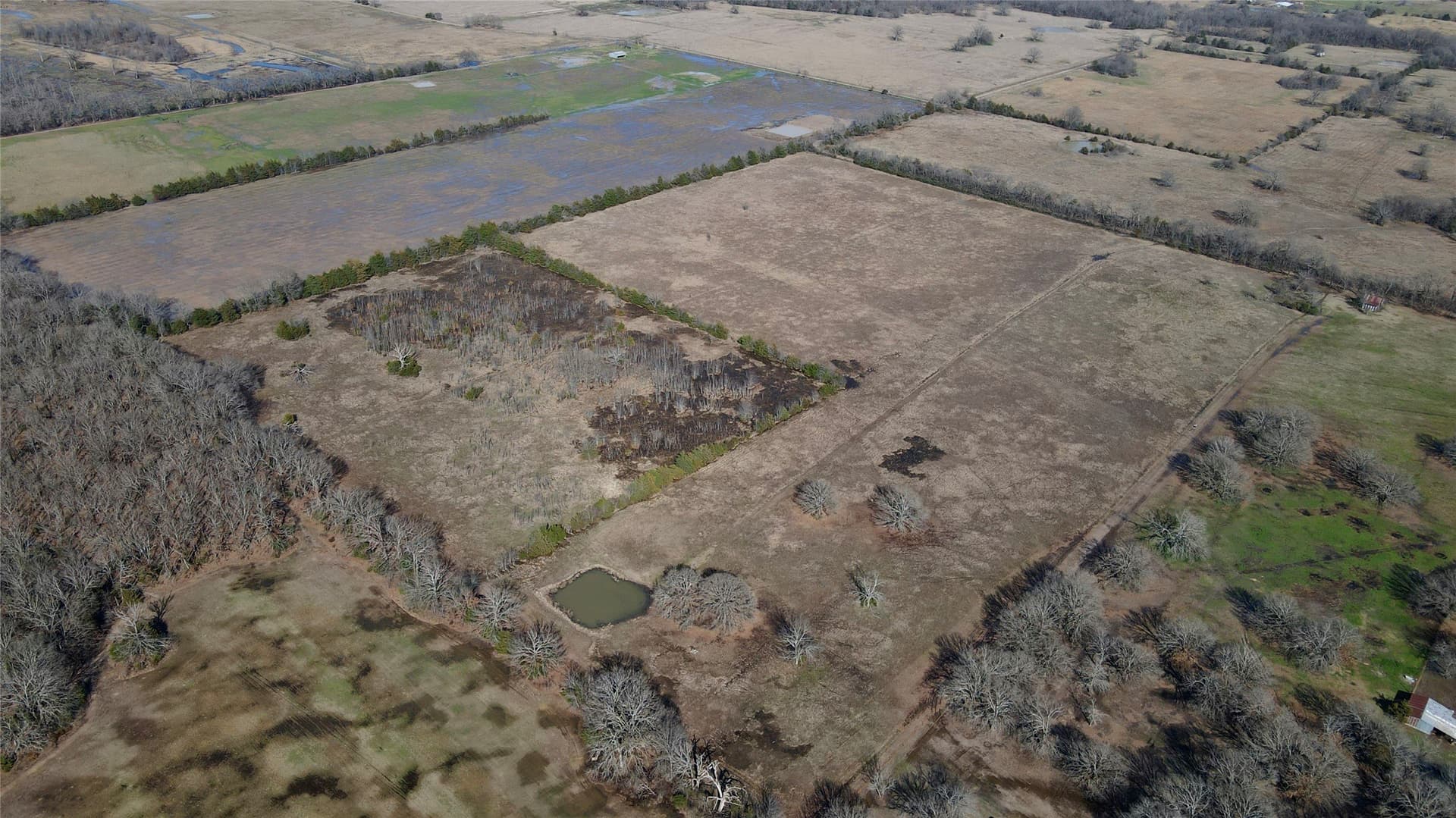 50 acres in Lamar County - photo 6