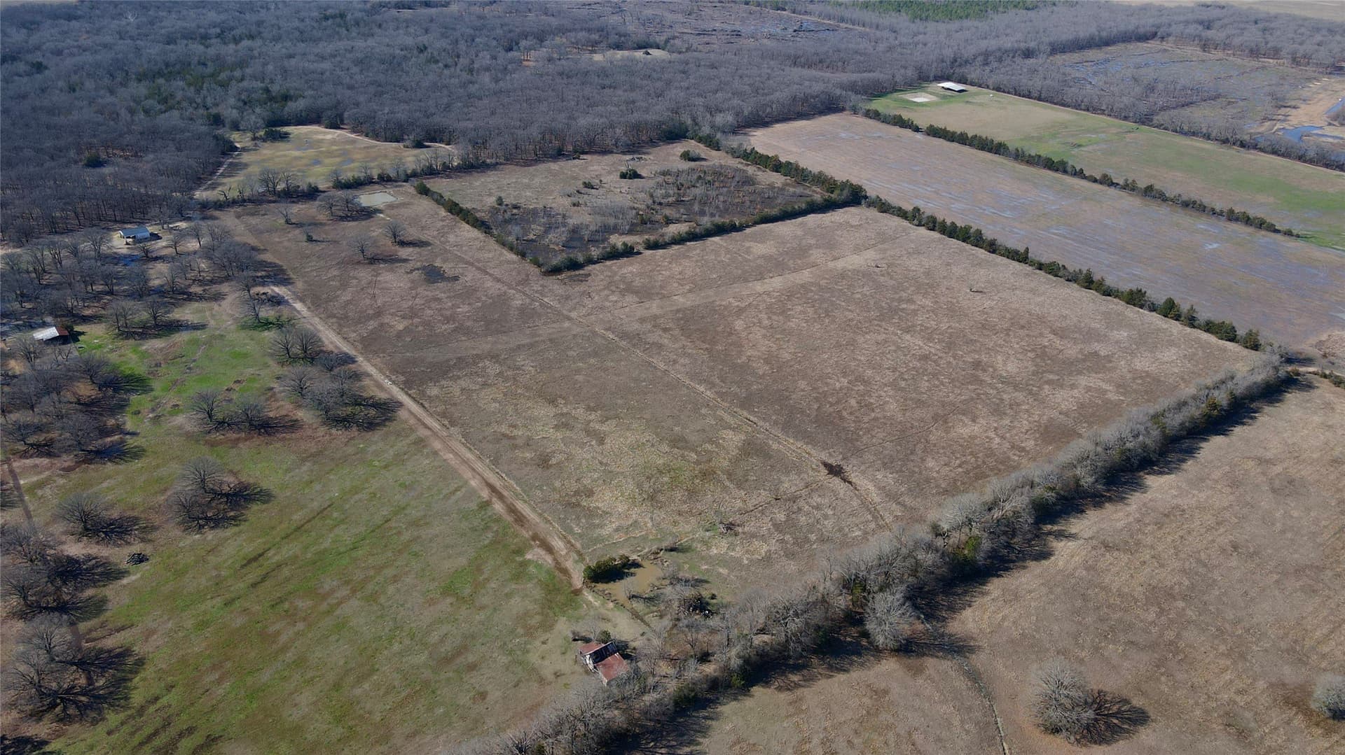 50 acres in Lamar County - photo 9