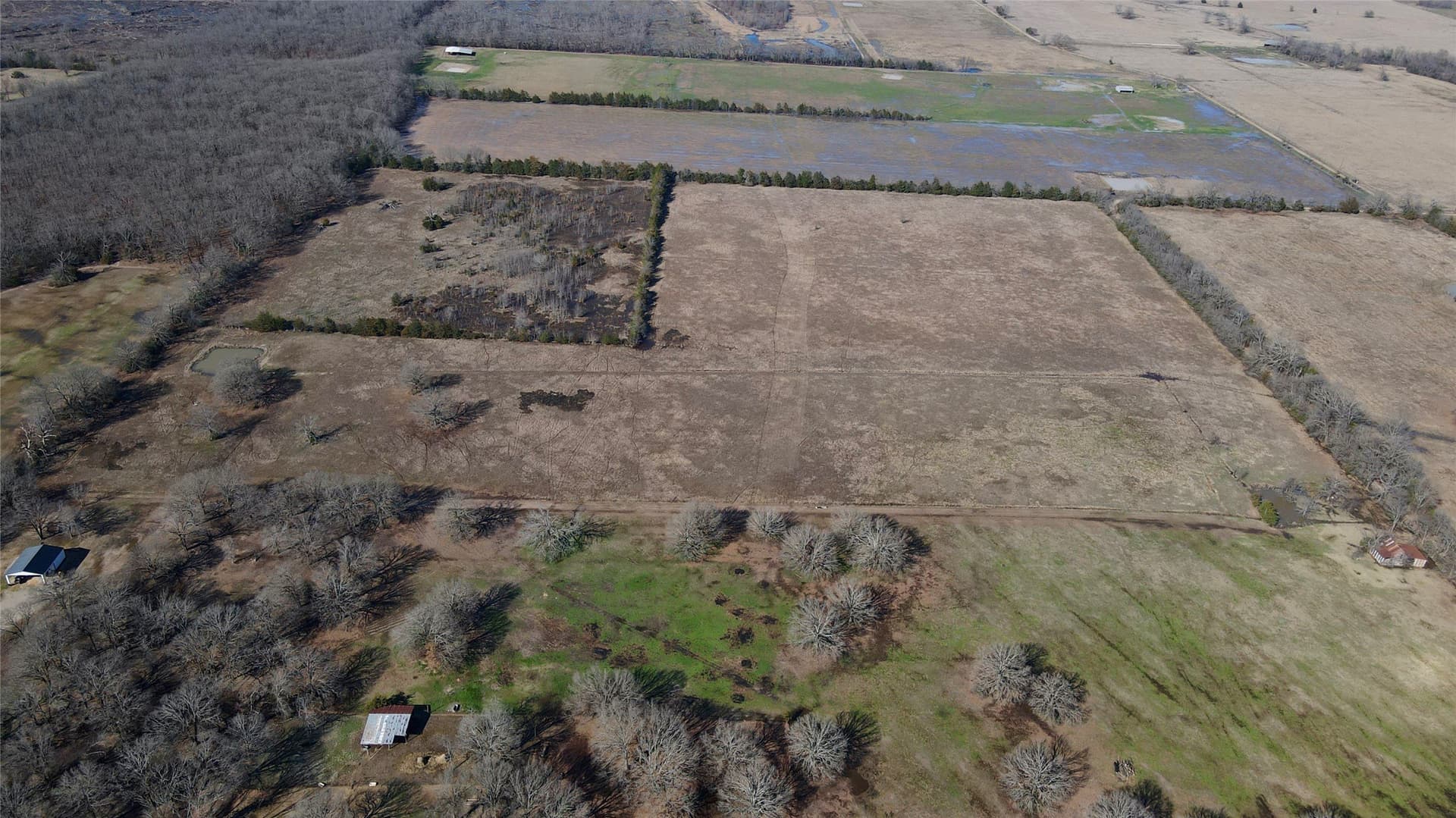 50 acres in Lamar County - photo 8